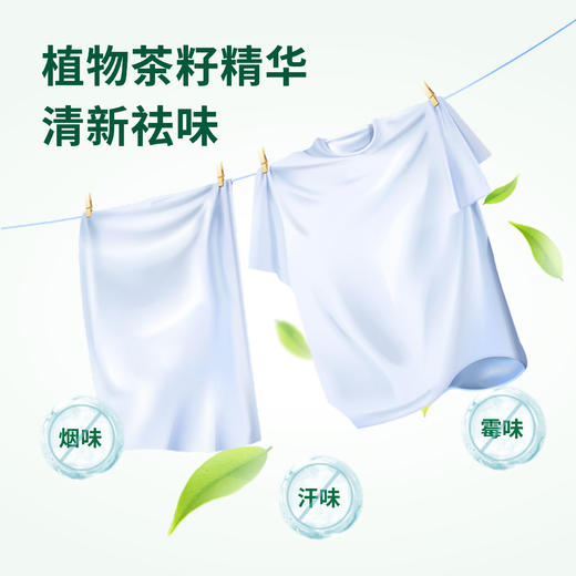 花果树茶麸洗衣液2kg 商品图3
