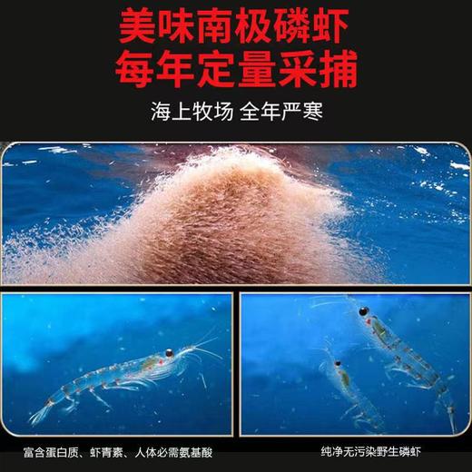 辽视同款 即食南极磷虾干 深海捕捞 野生活虾烘干 入口原汁原味 鲜美不咸 全国包邮 商品图1