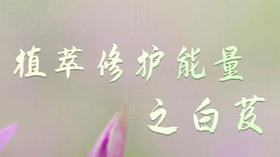 草木有趣 | 植萃修护能量之白芨