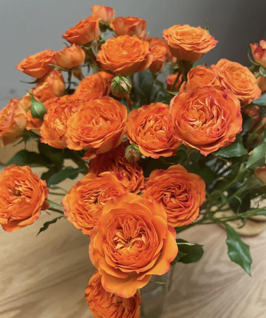 昆明玫瑰橙色芭比10支扎a级