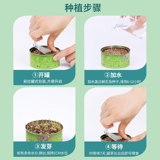 【无土猫草罐 轻松种植不操心】懒人猫草罐头吐毛球化毛促进消化栽培猫薄荷宠物猫零食 商品图3