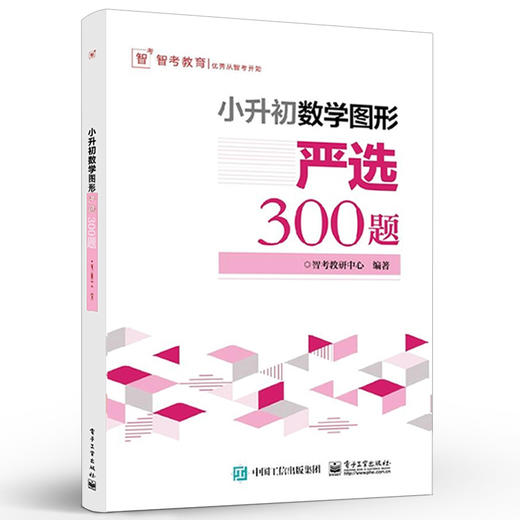 官方正版 小升初数学图形严选300题 智考教研中心 小升初数学考试解题方法技巧大全书籍小学生毕业考试数学复习 电子工业出版社 商品图1