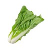 【LY】五号白菜 300±30g/袋 商品缩略图0