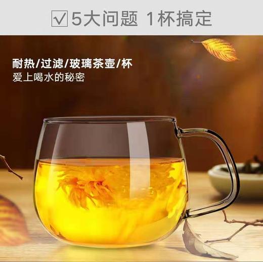 【家居】利快　耐热玻璃茶壶 商品图0