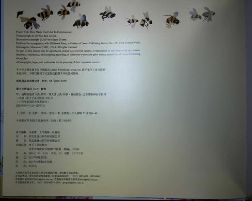 听，植物在说话 商品图1