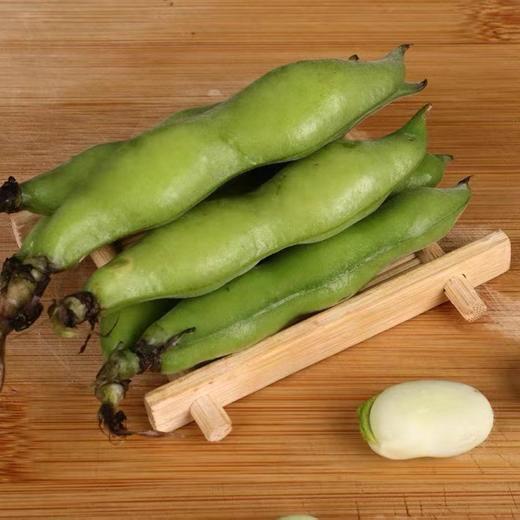 【LY】蚕豆 500g±20g/份 商品图1
