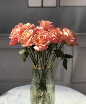 【拍市玫瑰】猪猪小姐 10枝/扎  约60公分