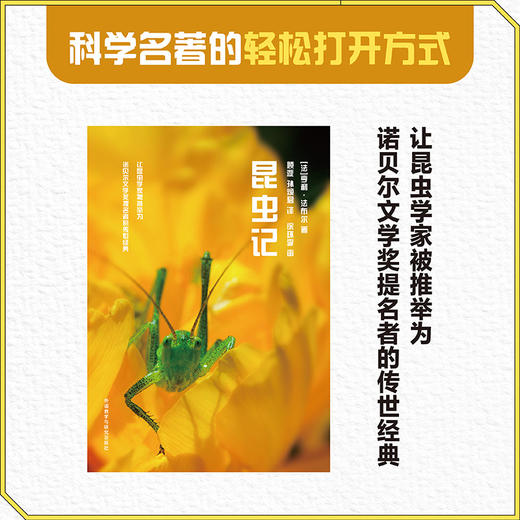 昆虫记(青少年科学素养文库新版) 商品图2