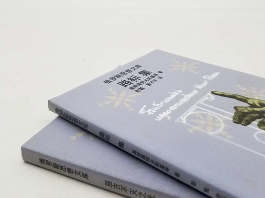 俄罗斯思想文库两种:《亘古不灭之光：观察与思辨》《路标集》，俄罗斯 谢.布尔加科夫、基斯嘉科夫斯基著，云南人民出版社1999年版，两册总定价：28.3元，售价：68元。非偏远地区包邮。品相8 商品图1