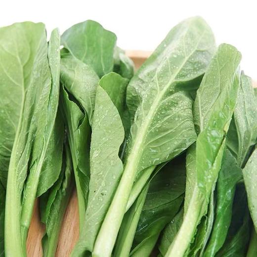 【LY】菜心 300±30g/袋 商品图2
