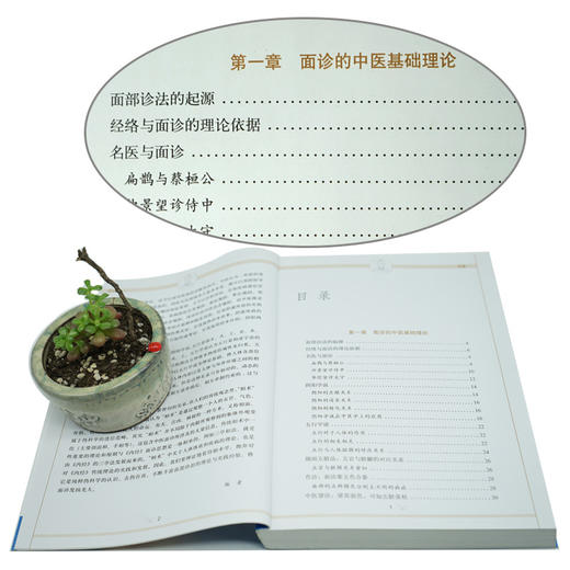 【正版】图解面诊大全 看健康自疗中医养生保健 中老年人女男性按摩察言观色知健康 美容调理一学就会自用畅销正版书籍 商品图4