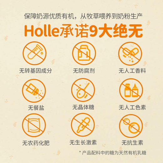 Holle（泓乐）有机燕麦粉 250g/盒 宝宝辅食米糊 德国原装进口 效期到2026-12-11 含税价 商品图1