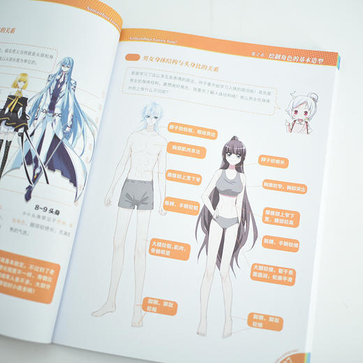 **能学漫画 动漫人物角色设定基础教程 飒漫画动漫人物绘画教程书漫画人物角色设定临摹画册漫画角色与设计入门自学 商品图5