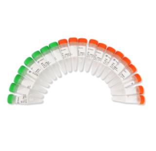 TruePrep Index Kit V2 for Illumina 商品图0