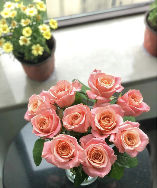 【拍市玫瑰】猪猪小姐 10枝/扎  约60公分 商品图6