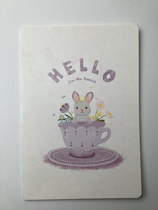 道林16K-36页软抄本全隐线横线本 商品图2