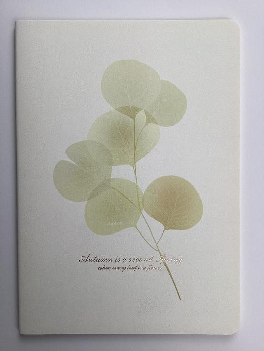 道林16KB5-46页软抄本180*252 商品图4