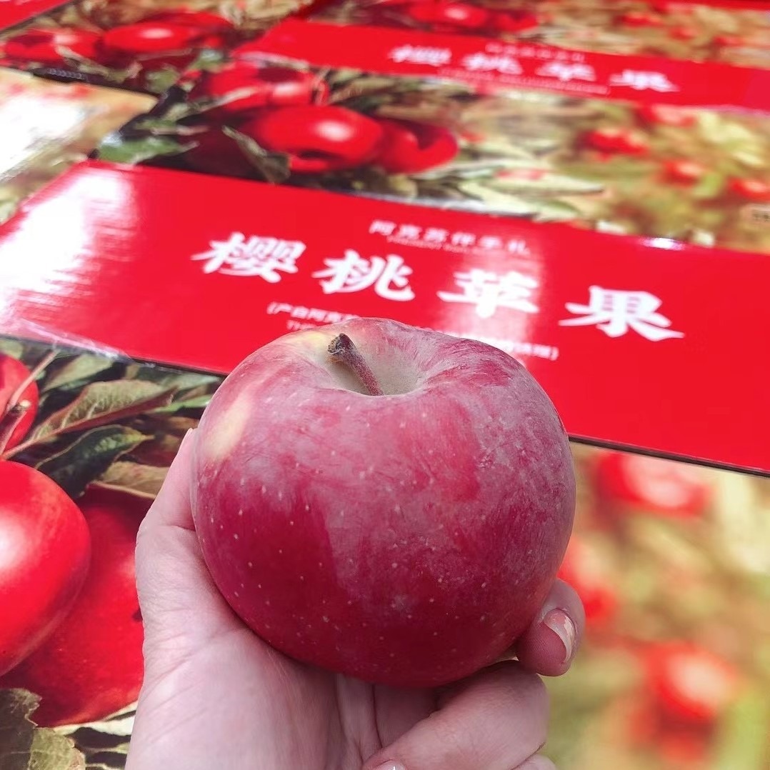 2026开始发货【京东包邮】新疆阿克苏樱桃苹果，果香浓郁味甜多汁基地直邮