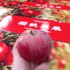2026开始发货【京东包邮】新疆阿克苏樱桃苹果，果香浓郁味甜多汁基地直邮 商品缩略图0
