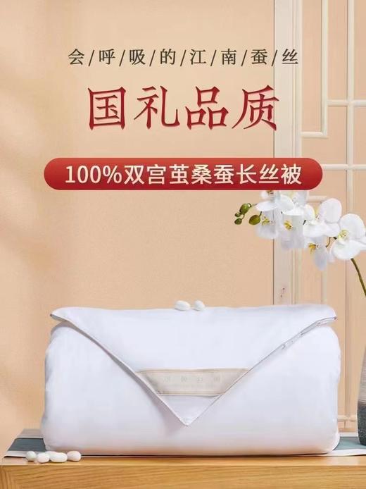 绣娘37度蚕丝被 商品图3
