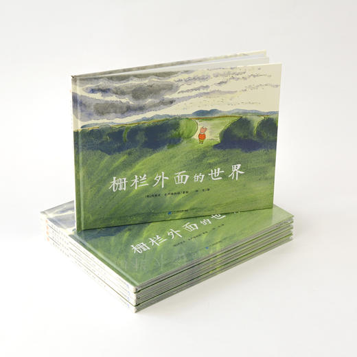 栅栏外面的世界  精装 世界精选图画书 商品图2