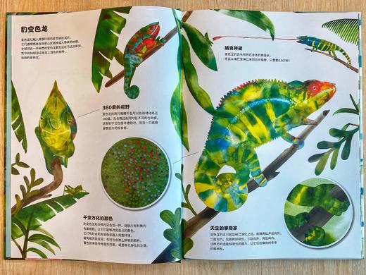 信谊世界精选图画书系列：动物伪装大师 商品图3