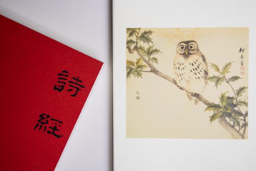 《诗经》（古义复原版2册）| 完整权威，逐字解析，轻松读懂诗经之美。 商品图3