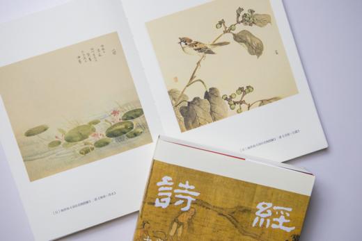 《诗经》（古义复原版2册）| 完整权威，逐字解析，轻松读懂诗经之美。 商品图6