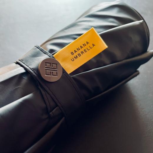 伟诗优选 | 晴雨伞 商品图1