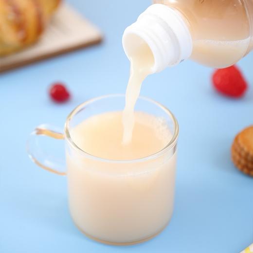 日本进口SuntoryBikkle三得利乳酸菌饮料益生菌酸奶饮料 商品图2