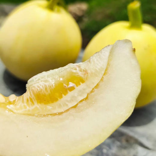 小蜜蜂树上熟黄金小甜瓜 4.5斤（约5-9个） 商品图2