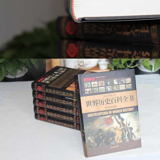 【优惠套装】 世界历史百科全书 精装全套6册 历史悬案历史百科书籍世界通史图文珍藏修订版图说天下世界上下五千年简史文明史全球通史图书 商品图4