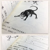 【优惠套装】山海经正版原版全套全集 图解三海经儿童小学生必读文白对照文言文白话文画集上古校注图文版全译书籍成人 商品缩略图3