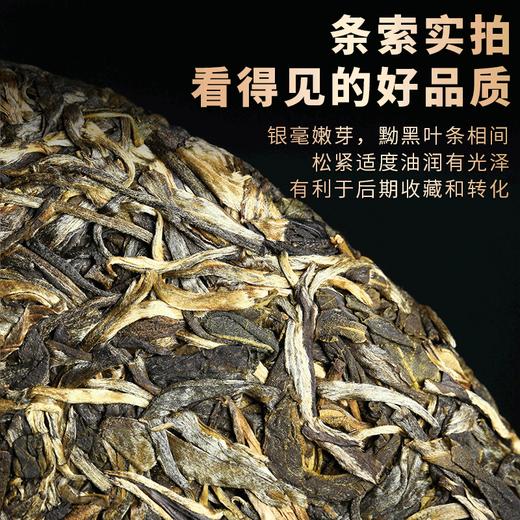 吉顺号茶叶2022新茶春茶班章孔雀云南古树普洱茶生饼357g/饼 商品图2