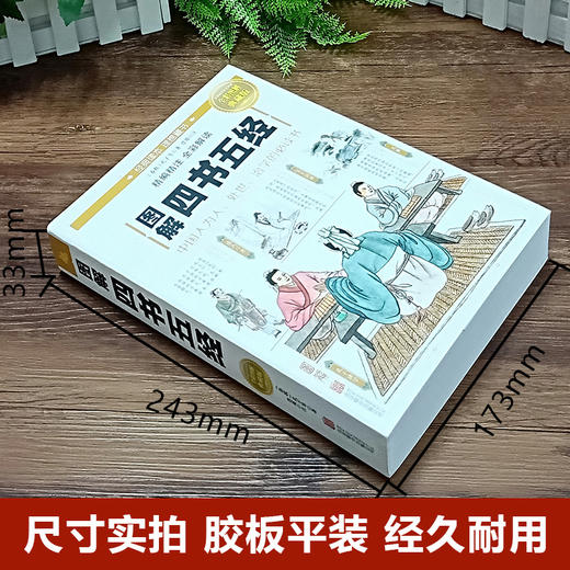 【正版】 图解四书五经全鉴 全译本正版译注 大学中庸论语孟子易经尚书诗经礼记周易 春秋左传中华书局国学中国哲学书籍全套国学 商品图1