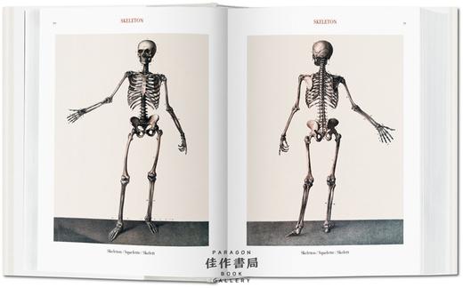 Bourgery. Atlas of Human Anatomy and Surgery 人体解剖与外科手术图集 原版画册 Taschen图书馆系列 商品图4
