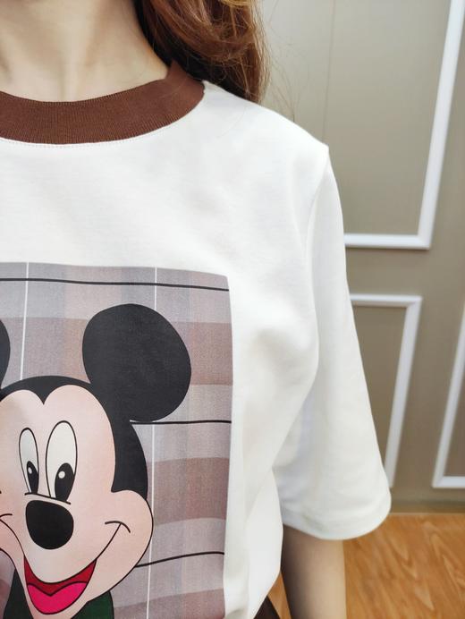 女针织中袖T8105 商品图3