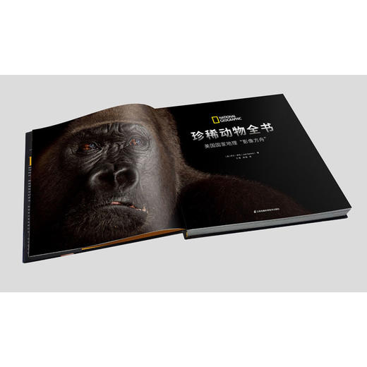 珍稀动物全书(美国国家地理影像方舟)(精) 果壳、憨爸、环球科学推荐 动物科普百科全书少儿童动物书动物世界动物书 商品图3