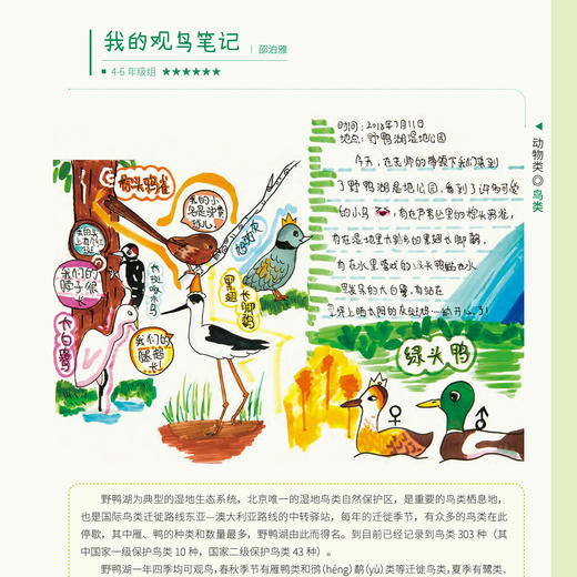 《自然观察笔记（第三届）》《自然观察笔记125例——培养板报小能手》（共2册） 商品图9