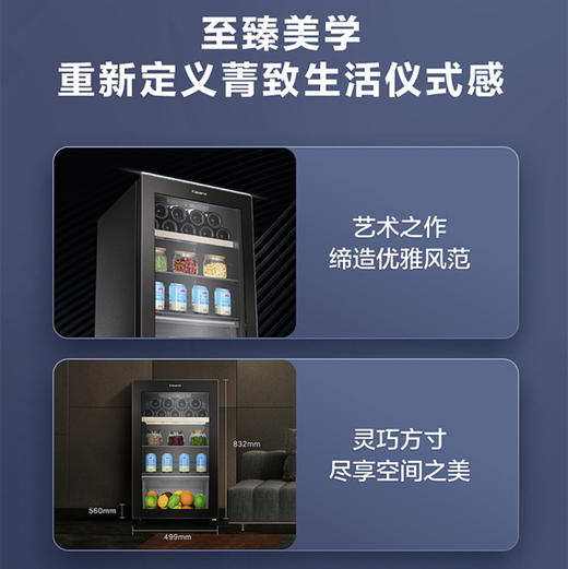 卡萨帝（Casarte） 冰吧DS0112LCS6B1 商品图3