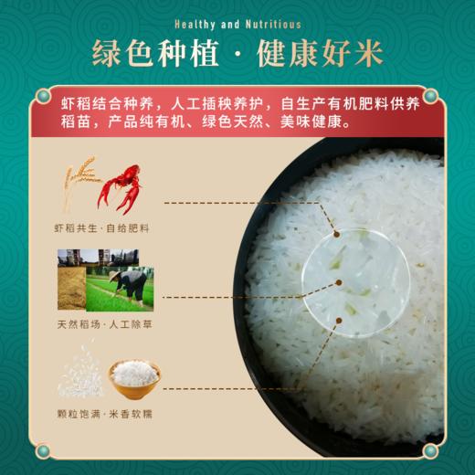 虾米农夫|虾稻香米5KG 商品图2