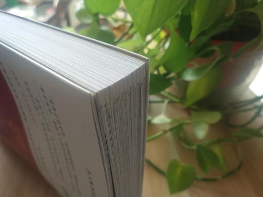 【正版】中华文史大观一唐诗三百首（全新彩色版） 商品图3