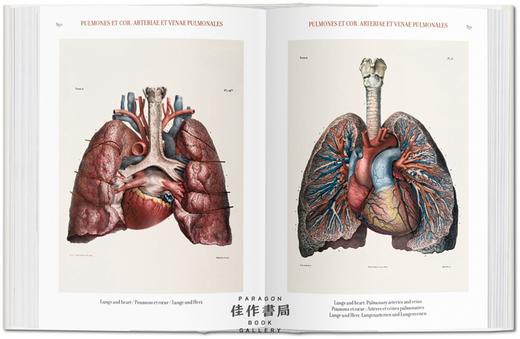 Bourgery. Atlas of Human Anatomy and Surgery 人体解剖与外科手术图集 原版画册 Taschen图书馆系列 商品图2