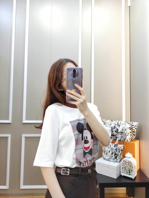 女针织中袖T8105 商品图2