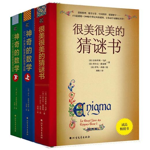 神奇的数学 很美很美的猜谜书10-15岁中小学生益智课外读物书提高孩子数学空间逻辑思维能力猜谜解字开发脑力创造力想象力 商品图4