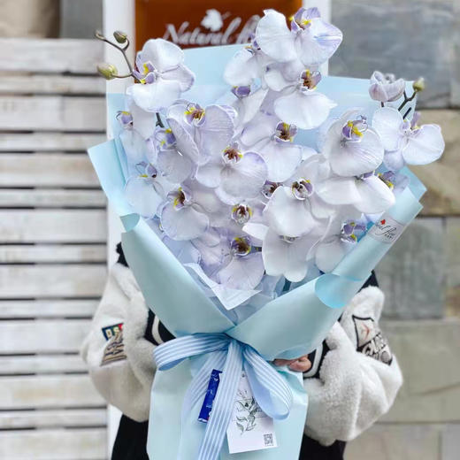 《蝴蝶飞飞》蝴蝶兰花束，下单备注图几的颜色哦 商品图4