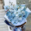 《蝴蝶飞飞》蝴蝶兰花束，下单备注图几的颜色哦 商品缩略图5