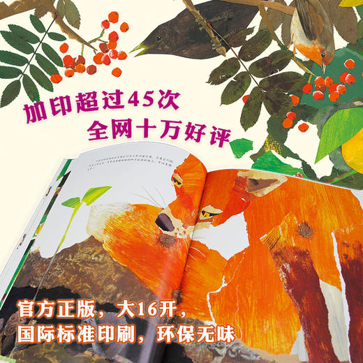 一粒种子的旅行 7-12岁小学生课外阅读书籍青少年儿童文学儿童绘本故事爱心树童书 德国儿童图书Luchs大奖 自然科普图画书 商品图2