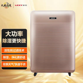 莱克（LEXY）除湿机 DH200 家用大风量净化型地下室除潮吸湿抽湿机干衣机