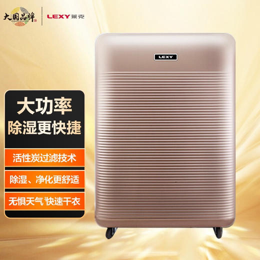 莱克（LEXY）除湿机 DH200 家用大风量净化型地下室除潮吸湿抽湿机干衣机 商品图0